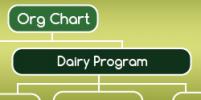 Organization Chart for the Dairy Program