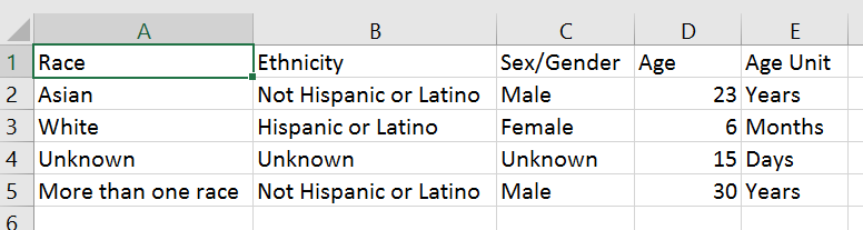 Screenshot of table of race, ethnicity, sex/gender, age, and age unit in Excel