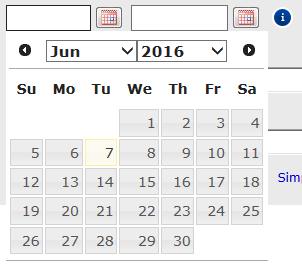 Advanced Search Input Published Date Picker