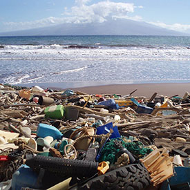 Marine debris on Hawaiian beach
