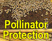 Pollinator Protection thumbnail