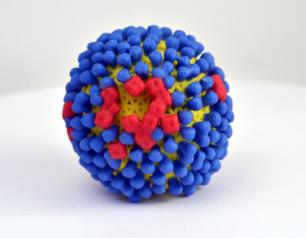 3D Print of Influenza Virus