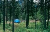 Campground on the Cascade Ranger District of the Boise National Forest, Idaho