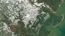 In a rare event, a powerful winter storm dropped snow in parts of the Southeastern U.S. in January 2018. The Operational Land Imager (OLI) on Landsat 8 captured an image of snow covering Savannah, Georgia, on January 4, 2018. The Savannah airport received 1.2 inches of snow on January 4, the most since 1989. To see a zoomed-in image of the Forsyth Park area (boxed area of detail), see NASA's story page at https://go.nasa.gov/2EoyR5W.