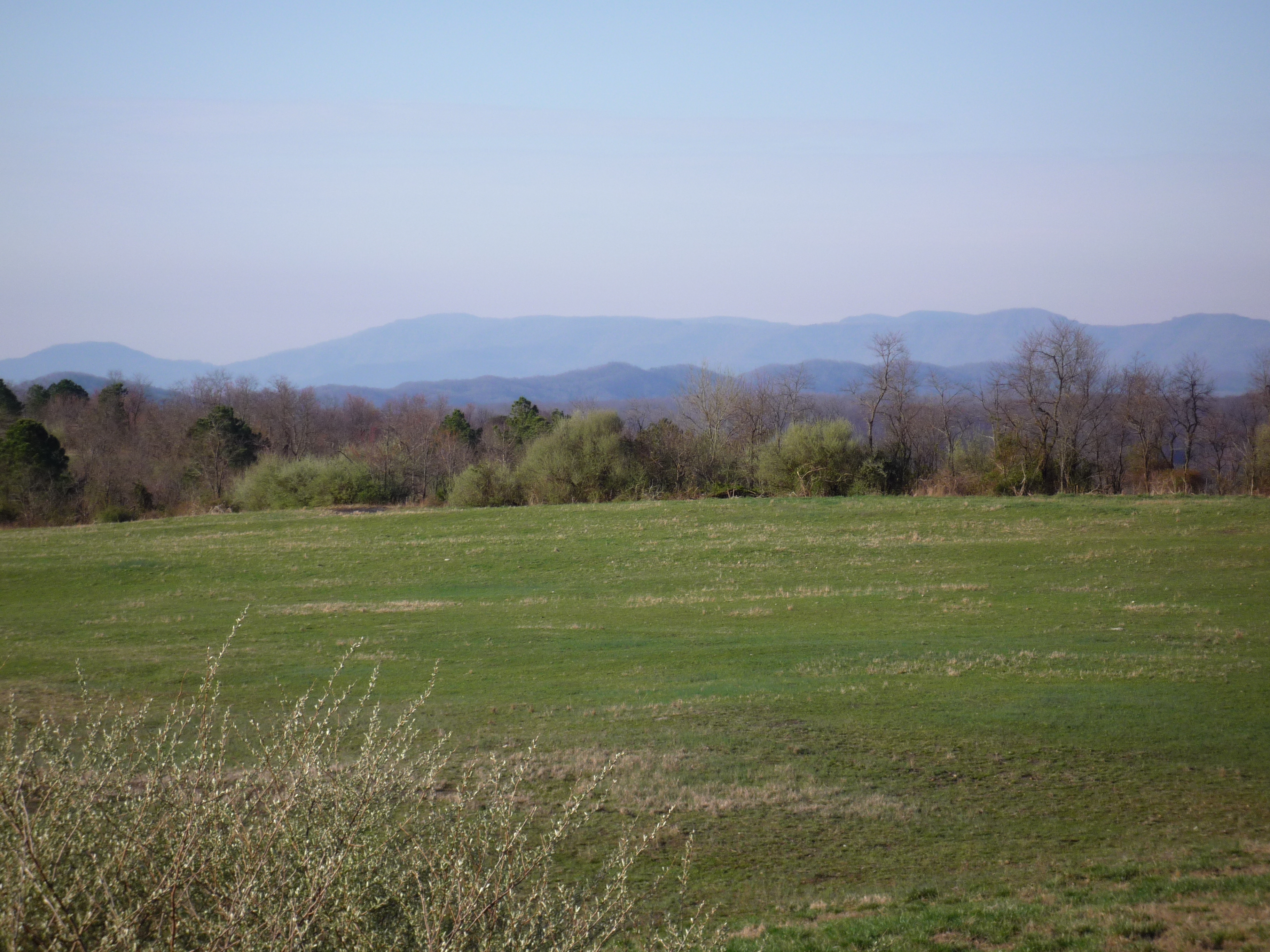 View of the Tennessee Lands Unsuitable for Mining petition area.