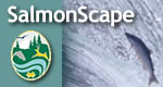 Salmon Scape icon