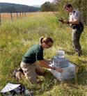 Photo of WDFW staff working in the field