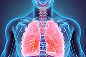 Protein in lungs could be target for asthma drugs - Photo: ©iStock/yodiyim