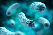 Antibiotic group shown to be effective against drug-resistant bacteria - Photo: ©iStock/adventtr