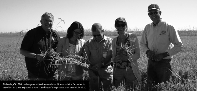 FDA colleagues in a field research arsenic in rice