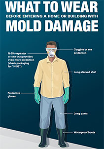 What to Wear before entering a Home or Building with Mold Damage