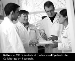 National Eye Institute scientists discussing research