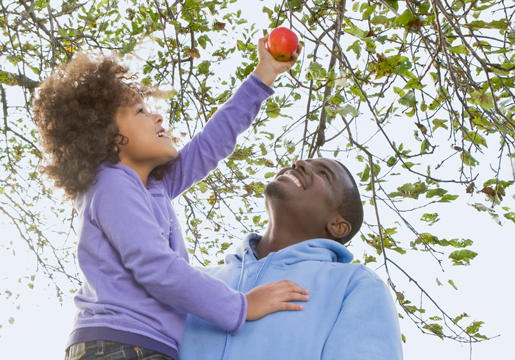 Dad lifts kid to pick apple