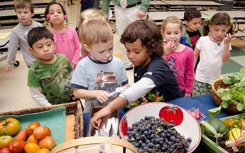 Children seeing, touching, and tasting produce