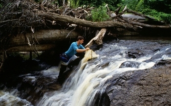 (USDA) Agricultural Research Service biologist testing the level of environmental harshness or pollution in a stream