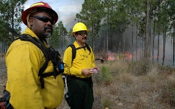 Fire Management Officer escorting a regional forester in northern Morocco 