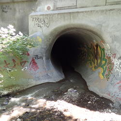 Stormwater flows from a graffiti-decorated outfall into urban Sausal Creek