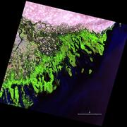 Satellite image showing algae growth