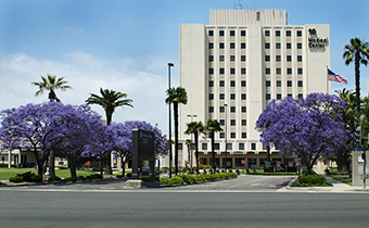 Welcome to the VA Long Beach Healthcare System