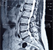 Spinal Cord Injury icon