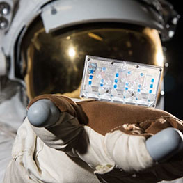 An astronaut holds a kidney tissue chip.