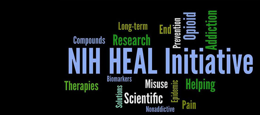 NIH HEAL word cloud