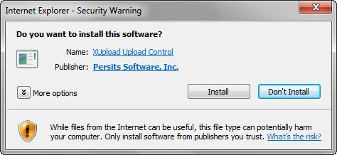Internet Explorer - Security Warning dialog screen capture