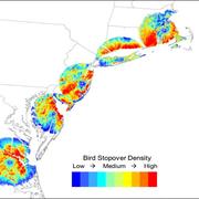 Radar Analysis of Bird Stopover Density