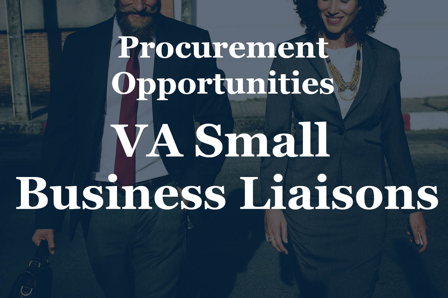 Business Laisons. Advice on potential procurement opportunities