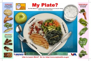 my plate picture shows different serving sizes