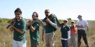 Sea turtles, pythons, & manatees, oh my: USGS science in Florida