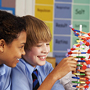 Students with model of DNA Double Helix