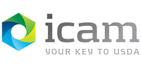 Identity, Credential, and Access Management Services Section picture of the ICAM Icon