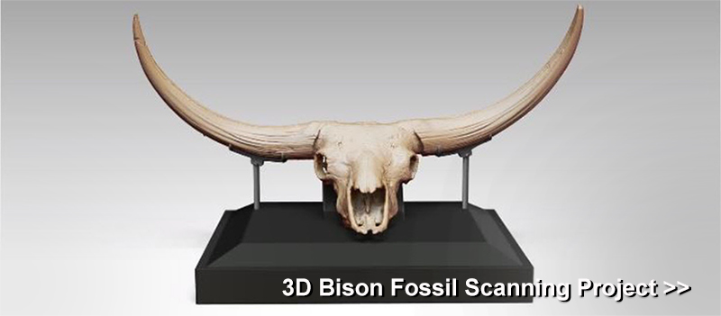 3D Bison Fossil Scanning Project