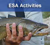 ESA Activities