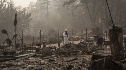 The massive Camp Fire burned more than 153,000 acres in Northern California, claiming the lives of at least 88 people (as of this publication date) and destroying more than 18,000 structures. In this photo, U.S. Army Sgt. Rodrigo Estrada of the California Army National Guard's 649th Engineer Company, 579th Engineer Battalion, 49th Military Police Brigade, leads a team conducting search and debris clearing operations, Nov. 17, 2018, in Paradise, California. Image with full caption and credit available at https://flic.kr/p/2ahrTWy.