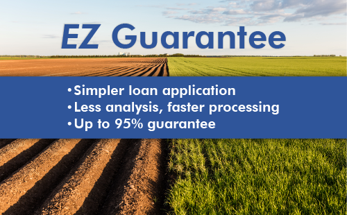 Lenders may request EZ Guarantees on applications.
