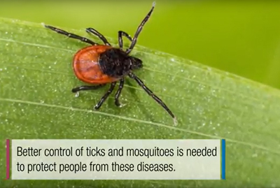 screenshot with words - better control of ticks and mosquitoes is needed to protect people from these diseases