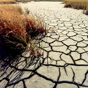 Image: Vegetation Drought
