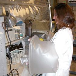 A USGS scientist prepares a sample to test the effect of antibiotics on denitrifying bacteria within a glove box
