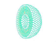 Cross section of a liposome