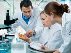 Two female and one male lab technician examining a petre dish in a laboratory.
