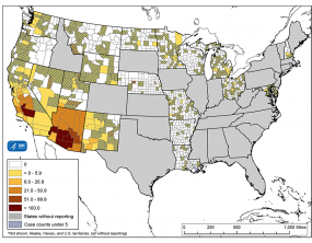 This map shows the average incidence of cases of coccidioidomycosis reported to CDC per 100,000 people, by county, during 2010–2015. Data for the map can be found at https://www.cdc.gov/fungal/files/coccimaptableforweb2.xlsx