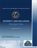 Access the current Diversity and Inclusion Strategic Plan