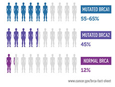 Infographic showing the genetic risk of developing breast cancer by age 70. Women with a mutated BRCA1 gene have a six-in-ten chance of breast cancer by age 70. Women with a mutated BRCA2 gene have a four-in-ten chance of breast cancer. Women with a normal BRCA gene have a one-in-ten chance of breast cancer by age 70.