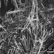 Scanning Electron Image of Vermiculite Asbestos