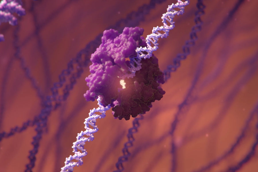 An illustration depicts a genome editing tool bound to a DNA helix. New 