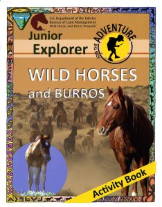 024-011-00200-6_junior-explorer-wild-horses028