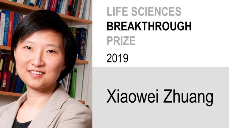 Xiaowei Zhuang 2019 Life Sciences Breakthrough Prize