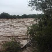 Flooding at Vekol Wash, Arizona